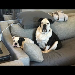 Meet your Posher, Laray